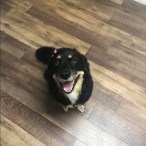 Meet your Posher, Kathy